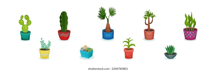 Potted House Plant and Growing Botany as Home Decor Vector Set