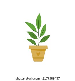 Potted house plant. Modern home interior natural decor. Foliage decoration. Flat vector illustration isolated on white background