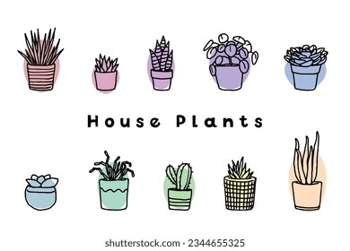 Potted house plant set, vector illustration