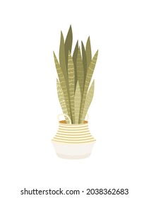 Potted house plant vector icon. Sansevieria indoor plant with beautiful foliage. Houseplant growing in pot interior decor. Colored flat isolated illustration.