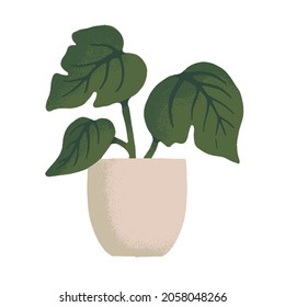 potted house plant vector illustrations in simple flat hand drawn style. Collection of green leafy indoor plants design assets isolated on white background