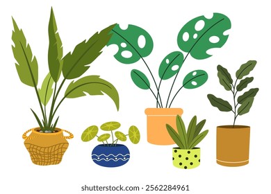 Potted house plants composition. Home and office interior houseplants. Modern green leaf, succulent, cactus decoration in planters, flowerpots. Flat vector illustration isolated on white background