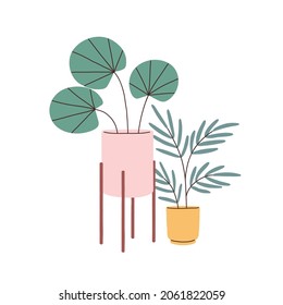 Potted house plants for home interior decoration. Green foliage houseplants in planters for room and office decor in Scandinavian style. Flat vector illustration isolated on white background