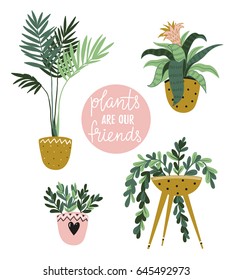 Potted  house plants isolated on the white background. Vector illustration with stylish lettering - Plants are our fiends