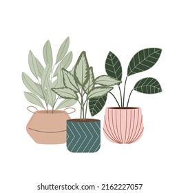 Potted house plants vector flat Illustration. Home and office interior decoration.