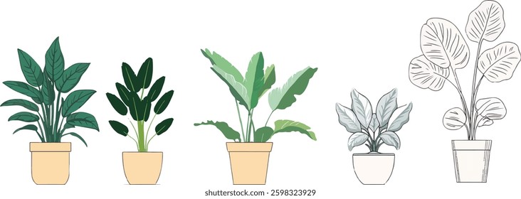 Potted House Plants Vector Illustration Isolated on White Background