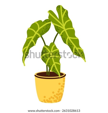 Potted houseplant. Alocasia with large arrow-shaped leaves and bright light green veins. Hand drawn vector illustration in modern flat cartoon style.