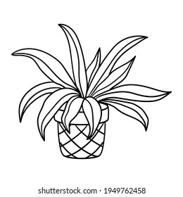 Potted houseplant, coloring page for kids and adults. Vector illustration