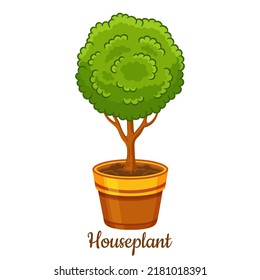 Potted houseplant, decorative garden tree in flower pot icon. Home gardening, grow bush seedling indoor. Green exotic botanical plant in ceramic vase with soil. House room interior decoration. Vector 