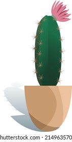 Potted houseplant echinopsis vector illustration. Succulent in flat modern style. Isolated on white background. Vector illustration