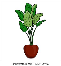 A potted houseplant in a flat cartoon style. An element for decorating your home, room or office. Vector illustration isolated on a white background.
