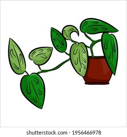 A potted houseplant in a flat cartoon style. An element for decorating your home, room or office. Vector illustration isolated on a white background.