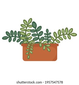 A potted houseplant in a flat cartoon style. An element for decorating your home, room or office. Vector illustration isolated on a white background.