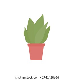 Potted houseplant flat vector illustration.