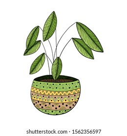 Potted houseplant with geometric pattern in doodle style. Ficus with green leaves. Color vector illustration drawn by hand. The object is isolated on a white background. Design element on the theme of