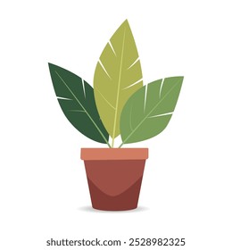 A potted houseplant. Hand drawn indoor flower isolated on white background.  Web design, textile, print.
