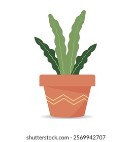 A potted houseplant. Hand drawn indoor flower isolated on white background.  
