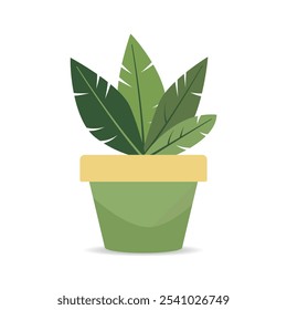 A potted houseplant. A hand-drawn indoor flower isolated on a white background. Vector illustration. It can be used in web design, social media, advertising
