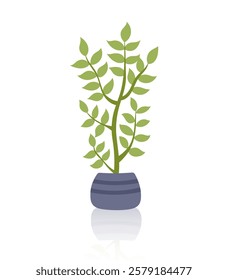 Potted houseplant isolated on white. Concept of indoor greenery, home decor, nature, botanical design, ecology, care, growth and sustainability. Vector hand drawn clipart.