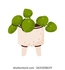 Potted houseplant. Pilea with round green leaves in a modern beige pot with legs. Flat vector cartoon illustration. Trendy indoor plant isolated on white background.