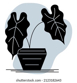 Potted houseplant. Two very large leaves on a thin stem. A plant in a flower pot for home, office, greenhouse. Vector icon, glyph, abstract gray background, isolated