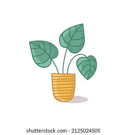 Potted houseplant. Vector illustration on a light background in a cartoon style with a shadow. Floral print for printing