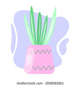 Potted houseplant. Vector isolated illustration in the flat style. Indoor flower, succulent in pink pot for website design, icons, poster
