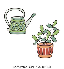 Potted houseplant and a watering can on white background, vector illustration