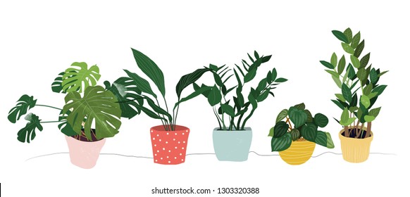 potted houseplants collection vector illustration.