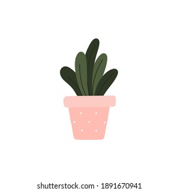 Potted houseplants flat vector illustration. Gardening and spring elements design.