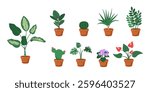 Potted houseplants and flowers in terracotta pots, includes leafy greens, cacti, succulents. Decorative indoor plants set in flat vector illustration style isolated on transparent.