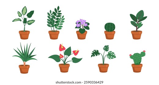 Potted houseplants and flowers in terracotta pots, includes leafy greens, cacti, succulents. Decorative indoor plants set in flat vector illustration style isolated on transparent.