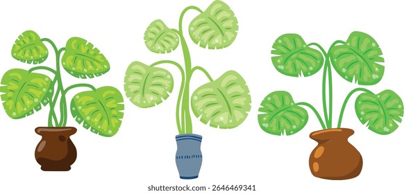 Potted houseplants with green tropical leaves. Flat cartoon vector illustration.