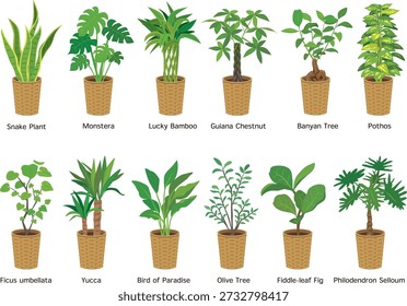 Plantas de casa en maceta y conjunto de Vector interior