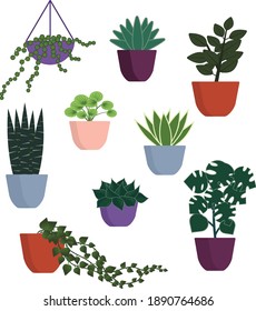 Conjunto de ilustraciones vectoriales de plantas de hogar potentes