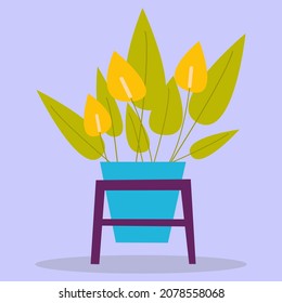 Potted indoor plants. A green flower with flowers in a blue pot, on a stand.