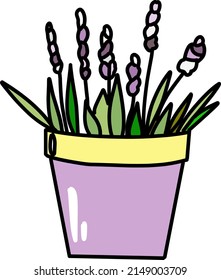 gepolsterter Lavendel auf weißem Hintergrund