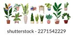 Potted leaf and flower plants set. Houseplants, succulents, cactus, ficus, monstera growing in planters, flowerpots, vase. Home green decoration. Flat vector illustrations isolated on white background