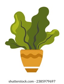 Potted leafy plant, isolated houseplant with leaves and stem, branches with foliage. Home decoration and interior design improvement with greenery, florist shop or store. Vector in flat style