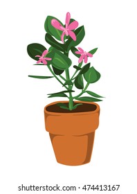 Potted leafy plant with pink flowers.