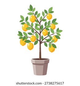 Potted lemon tree laden with ripe yellow lemons and green leaves, ideal for food or garden themes.