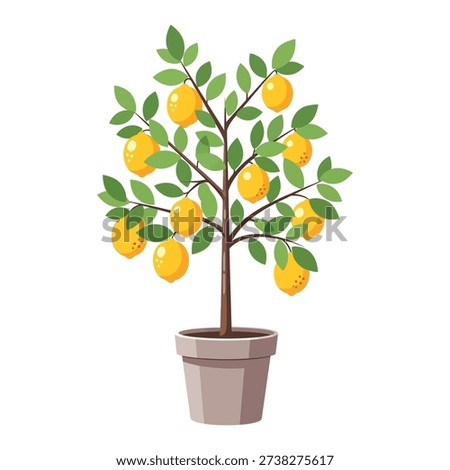 Potted lemon tree laden with ripe yellow lemons and green leaves, ideal for food or garden themes.