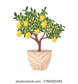 Potted lemon tree vector illustration isolated on white background, citrus plant with ripe yellow fruits in decorative flower pot, flat cartoon style