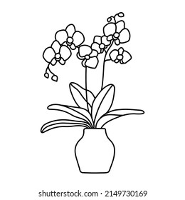 Potted Orchid Sketch. Vector Indoor Flower In A Pot. Doodle Black And White Outline Illustration Of A Plant