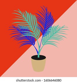 Potted palm tree on a pink and red background