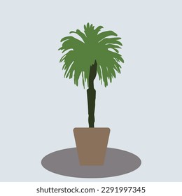 A potted palm tree stands on the floor.