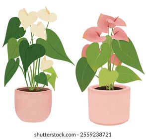 potted peace lilly Houseplant Watercolor Style for Decor and print