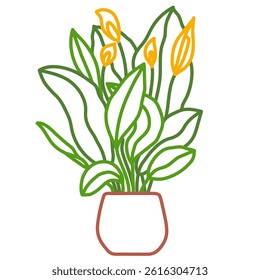 Potted peace lily sketch. Vector indoor flower in a pot. Doodle color illustration of a plant