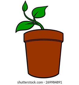 Potted Plant