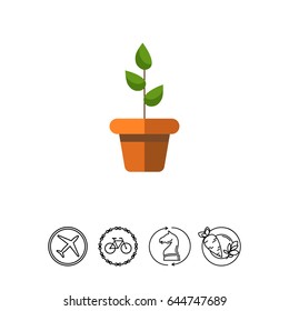 Potted plant